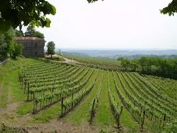 images_002