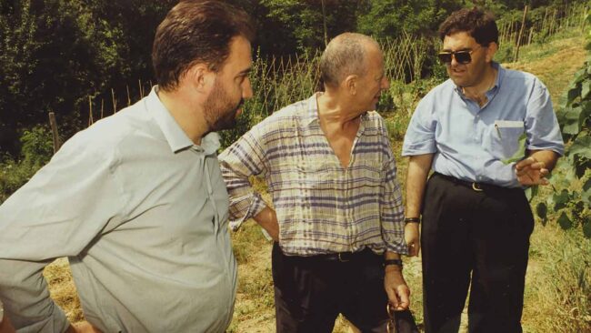 luigi-veronelli-vigna